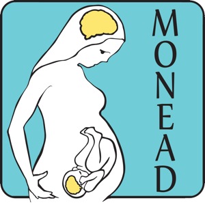 MONEADICONweb